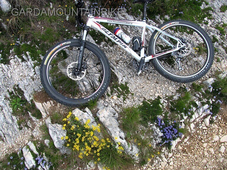 i-fiori-del-pizzocolo - lago di garda MTB 